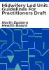 Midwifery_led_unit__guidelines_for_practitioners_Draft