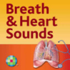 Auscultation_skills