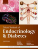 Endocrinology__and_diabetes