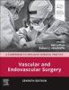 Vascular_and_endovascular_surgery