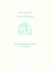 An_illustrated_review_of_the_respiratory_system