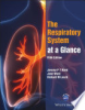 The_respiratory_system_at_a_glance