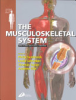 The_musculoskeletal_system
