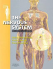 The_nervous_system
