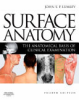Surface_anatomy