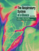 The_respiratory_system_at_a_glance