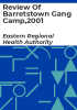 Review_of_Barretstown_Gang_camp_2001