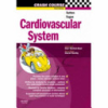 Cardiovascular_system