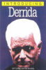 Introducing_Derrida