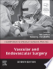 Vascular_and_endovascular_surgery