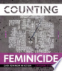 Counting_feminicide